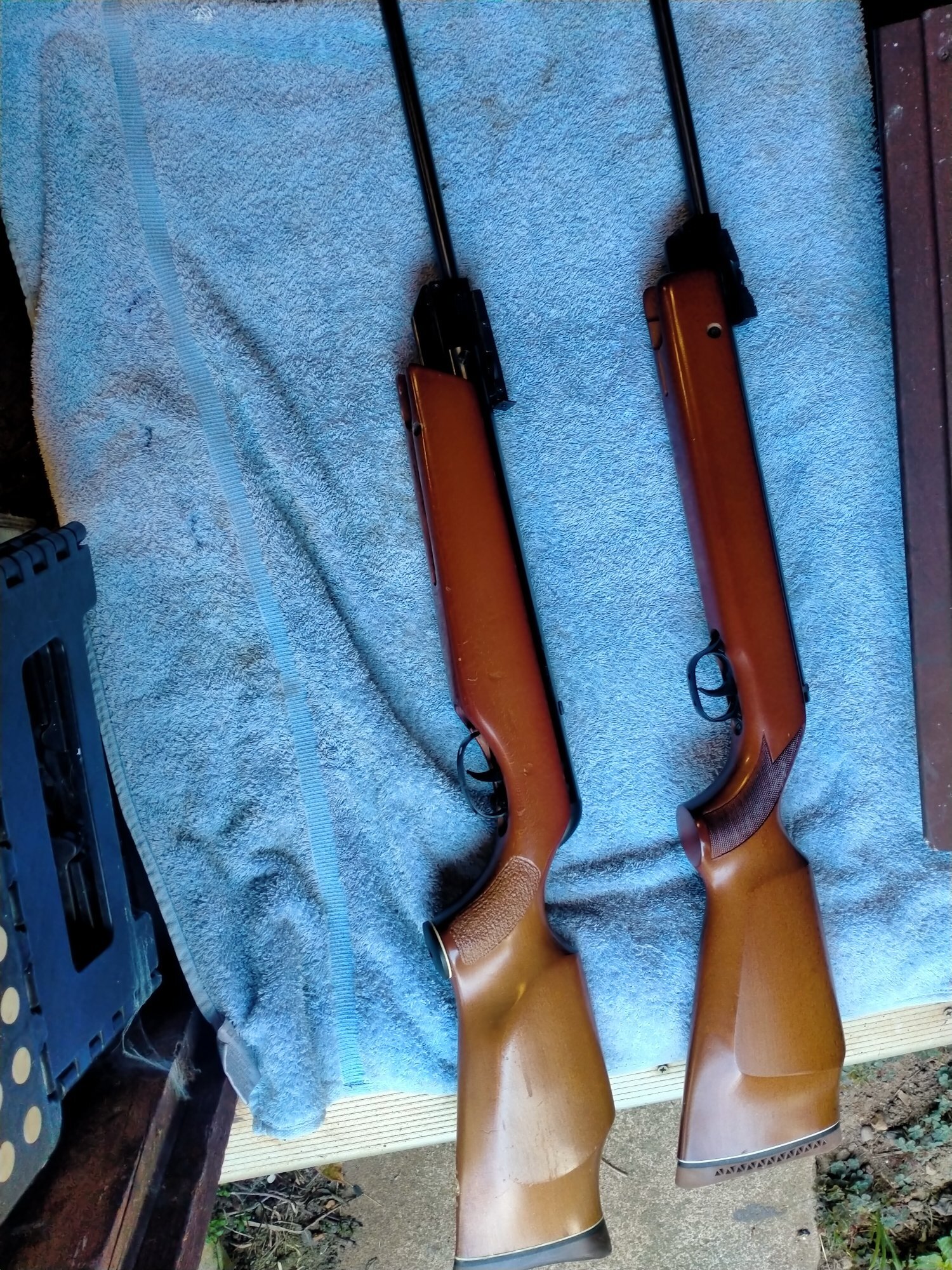 Gamo Magnum .22