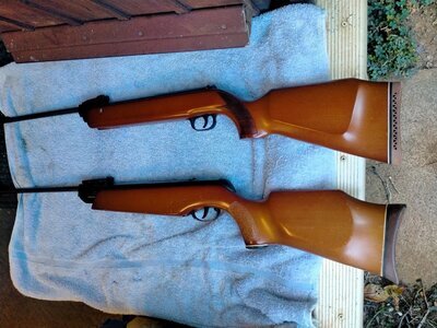 Gamo Magnum .22
