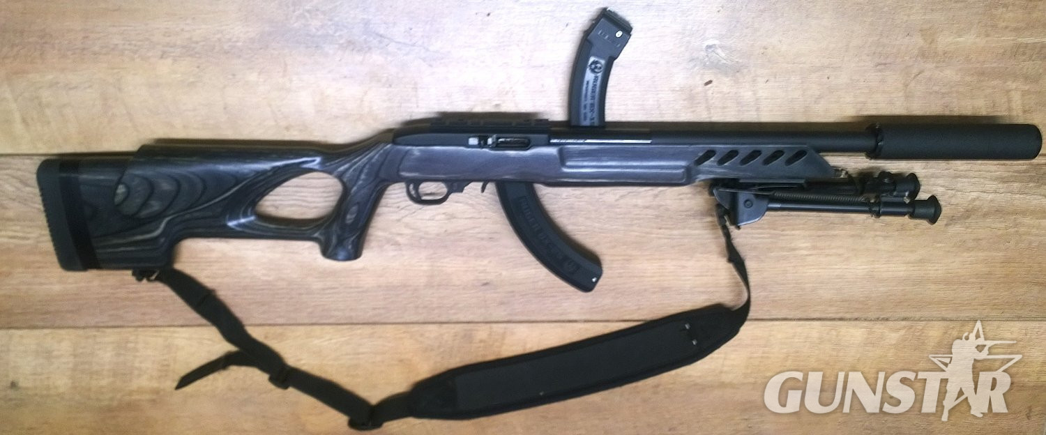 Ruger 10/22 custom Semi-Auto .22 Long Rifle (.22 LR) Rifle in 