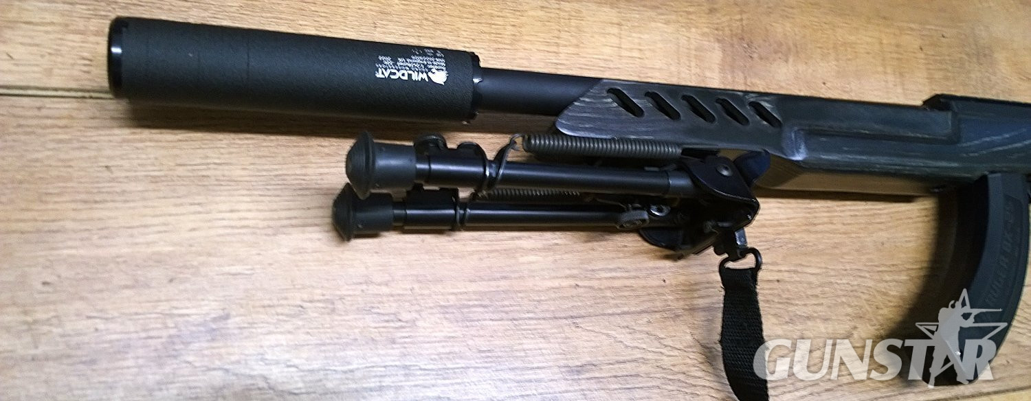 Ruger 10/22 custom Semi-Auto .22 Long Rifle (.22 LR) Rifle