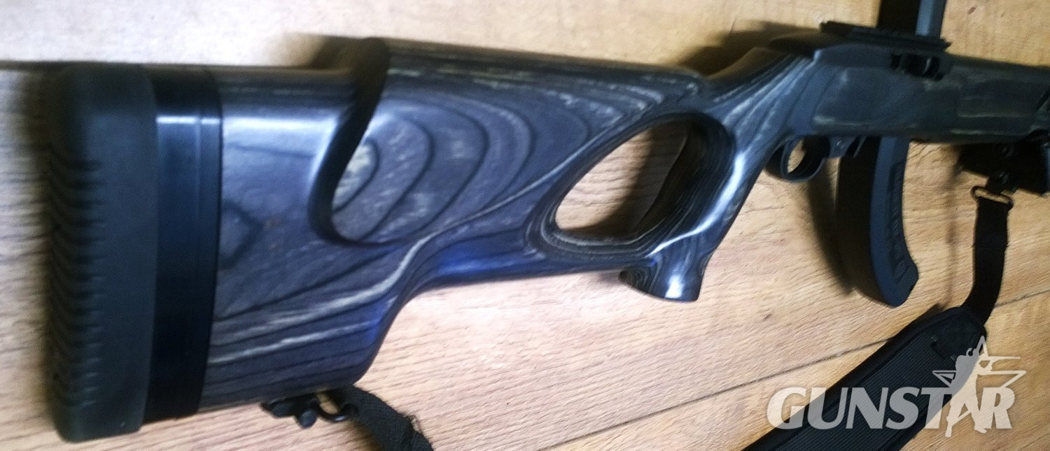  Ruger 10/22 custom Semi-Auto .22 Long Rifle (.22 LR) Rifle