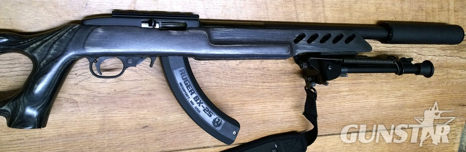 Ruger 10/22 custom Semi-Auto .22 Long Rifle (.22 LR) Rifle - {CATEGORY} in 