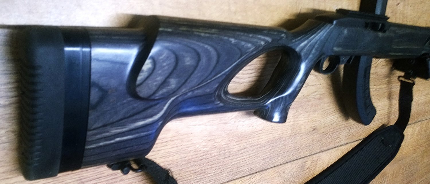 Ruger 10/22 custom Semi-Auto .22 Long Rifle (.22 LR) Rifle