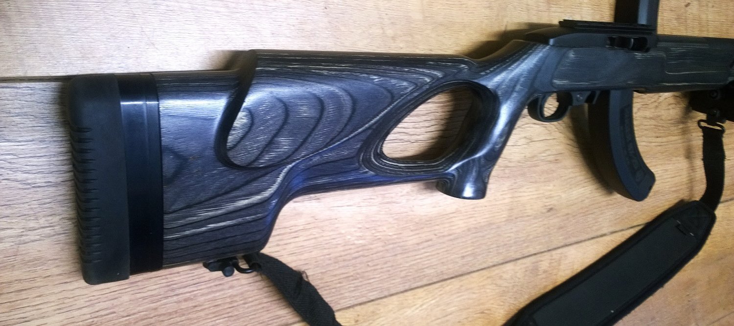 {CATEGORY} - Ruger 10/22 custom Semi-Auto .22 Long Rifle (.22 LR) Rifle