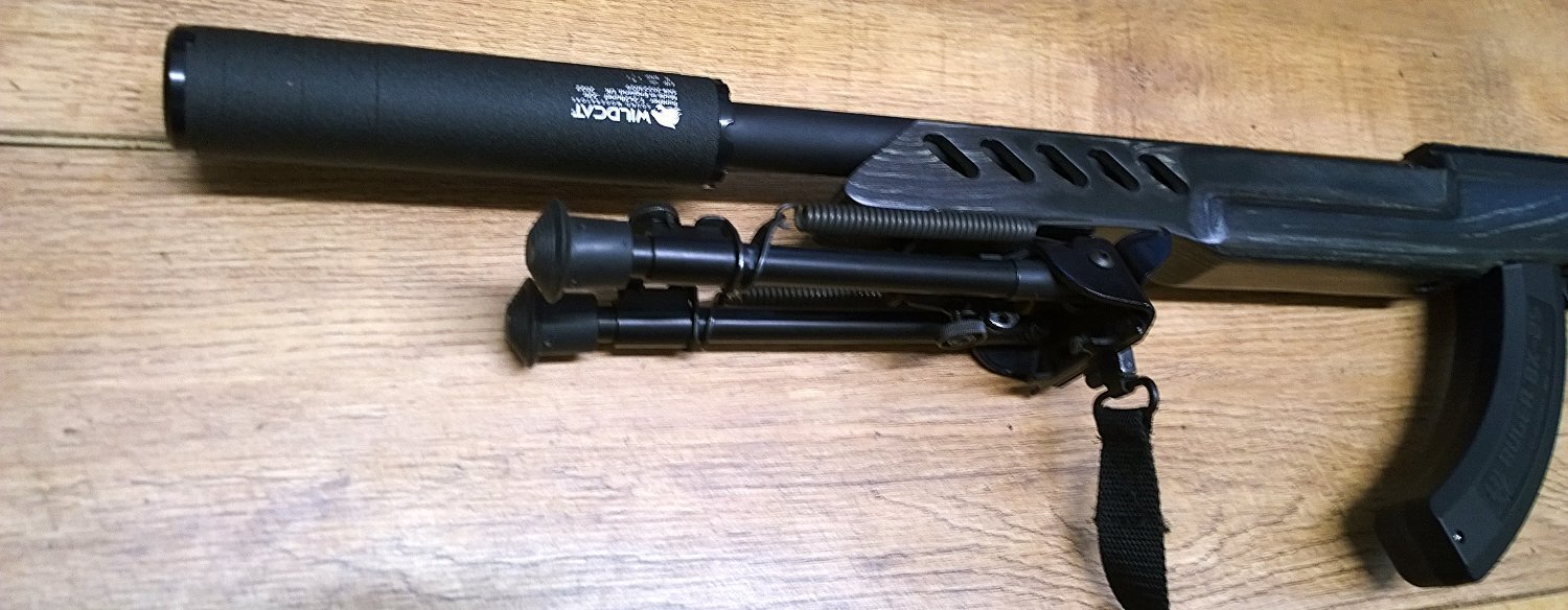Ruger 10/22 custom Semi-Auto .22 Long Rifle (.22 LR) Rifle