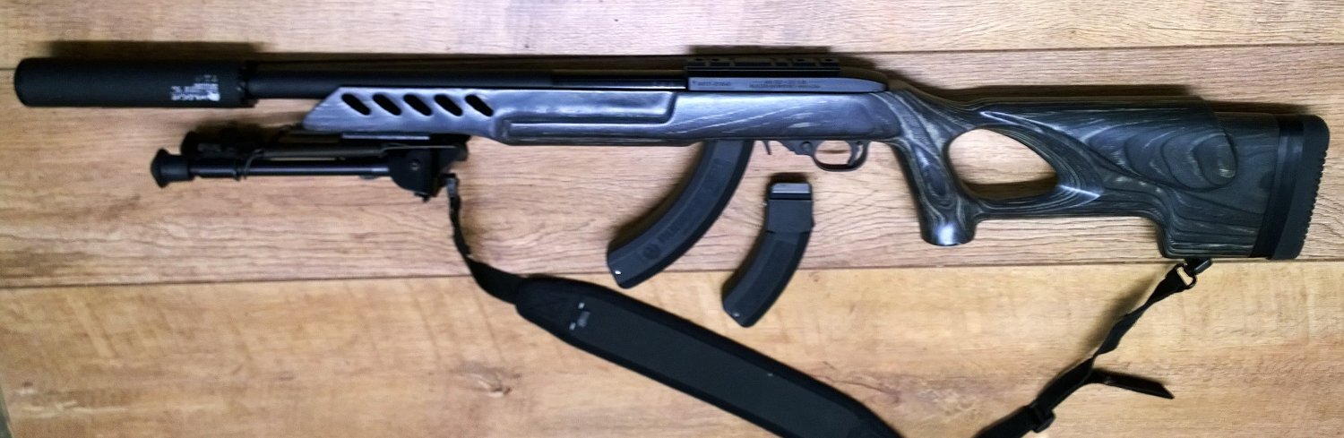 Ruger 10/22 custom Semi-Auto .22 Long Rifle (.22 LR) Rifle 