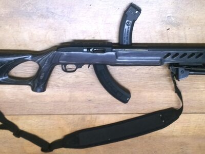 Ruger 10/22 custom Semi-Auto .22 Long Rifle (.22 LR) Rifle
