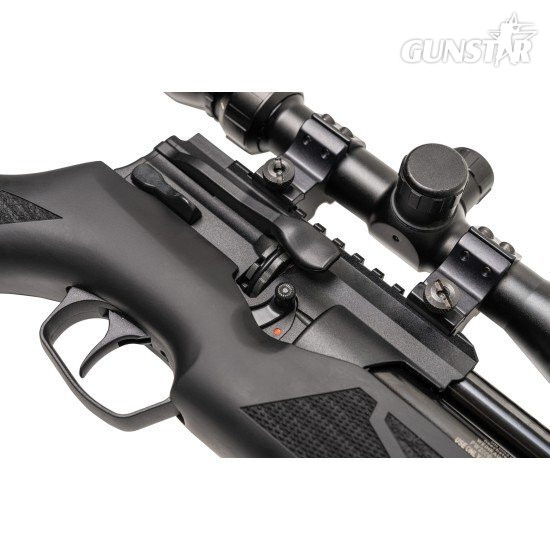 Weihrauch HW100 .22