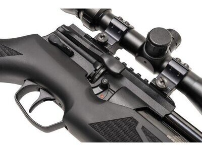 Weihrauch HW100 .22