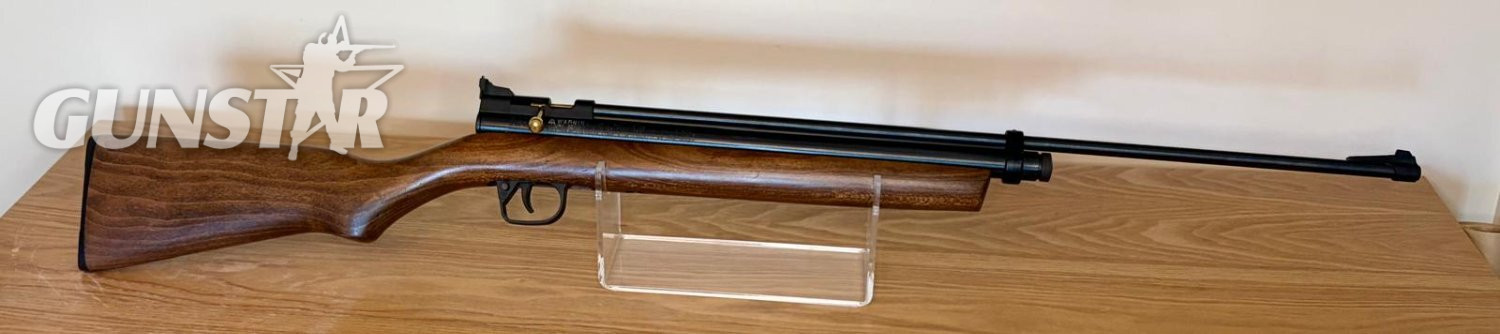 Crosman 2260 .22
