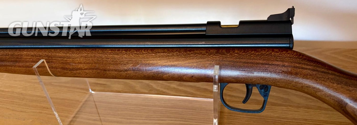 Crosman 2260 .22