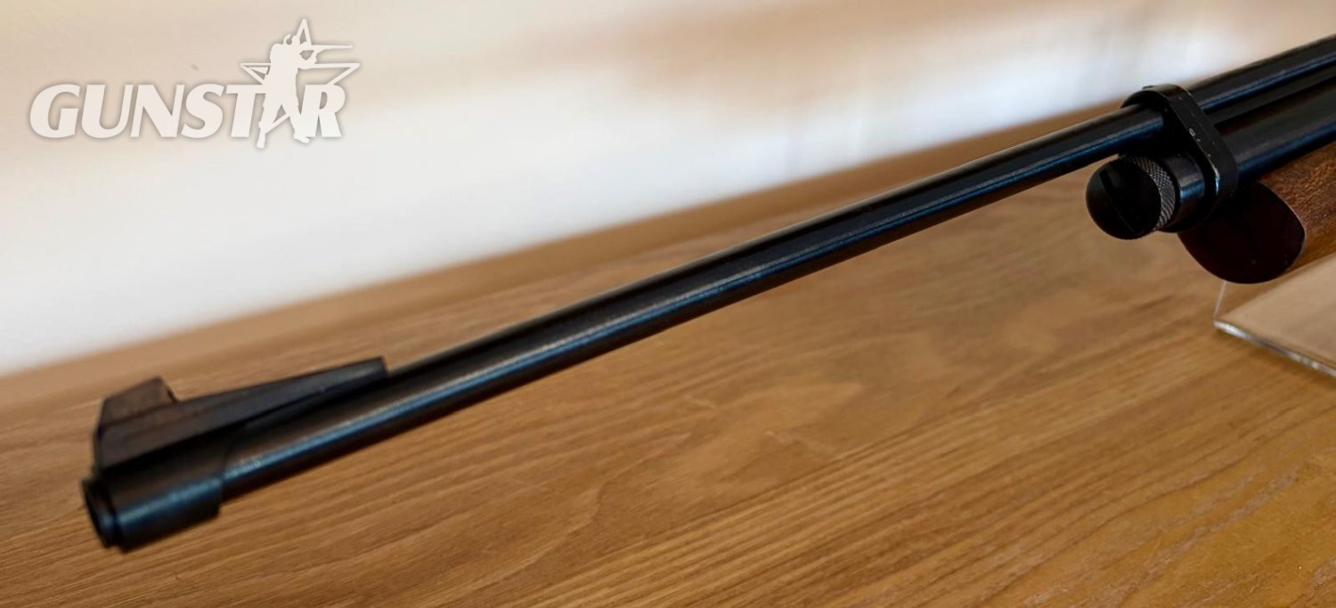 Crosman 2260 .22 