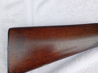 Unknown Hammer  Single Barrel 10 Bore/gauge