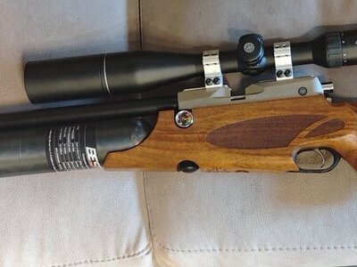 Daystate Wolverine .30