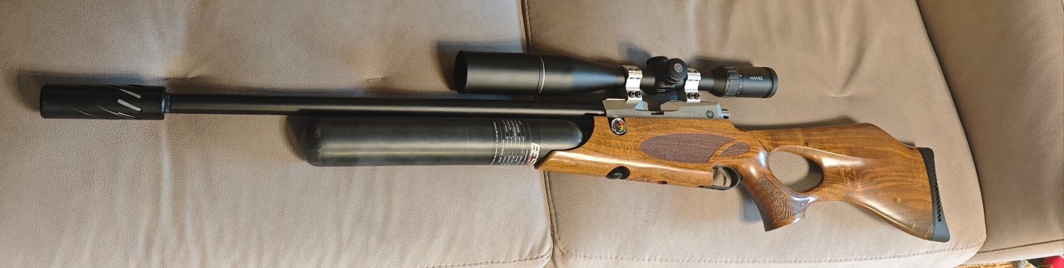  Daystate Wolverine .30