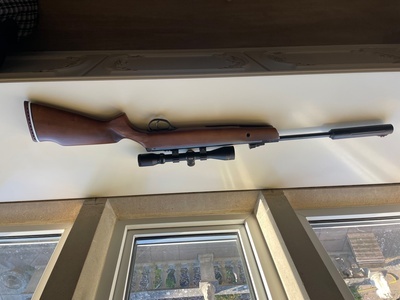Hatsan Arms 900X .22