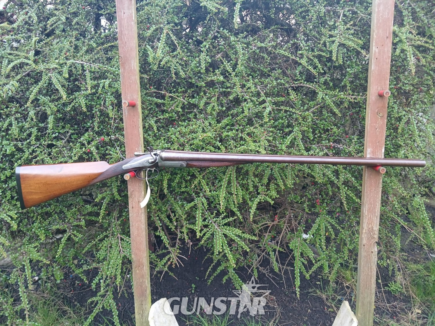 Isaac Hollis & Sons hammer Side By Side 12 Bore/gauge in 