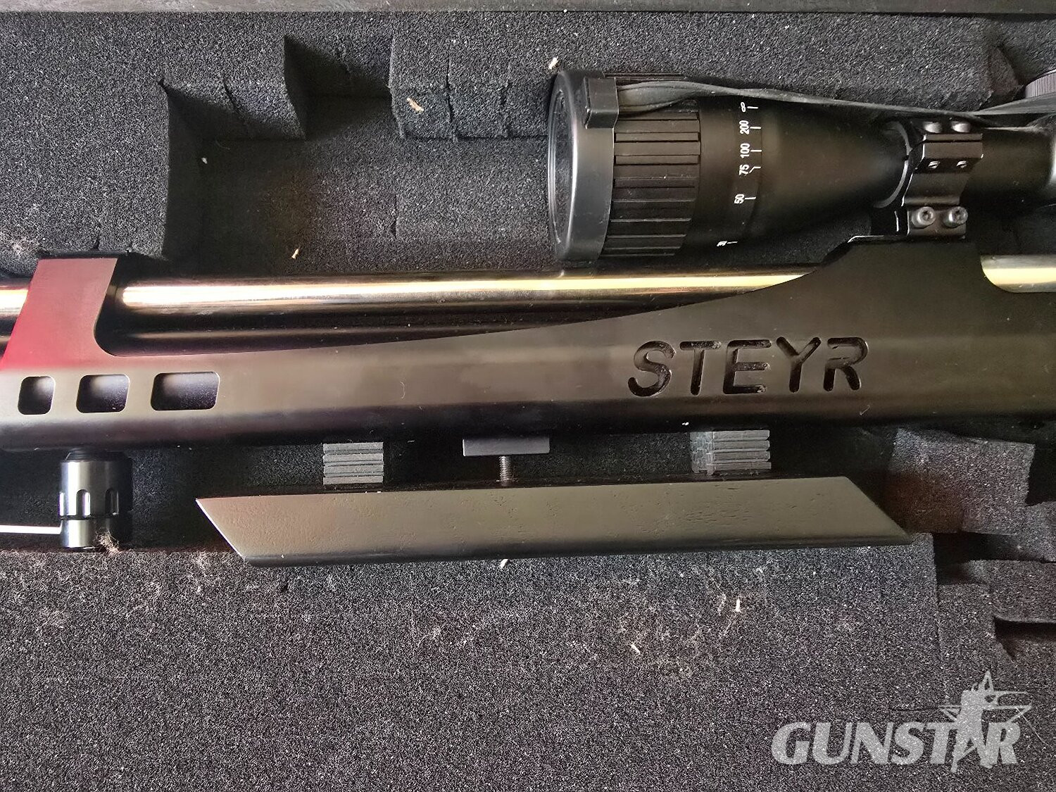  Strye Steyr LG110 .177