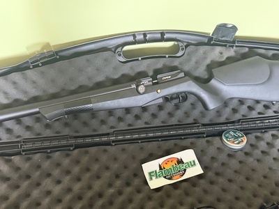 FX Airguns DRS .22