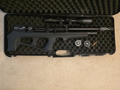 FX Airguns Wildcat .22