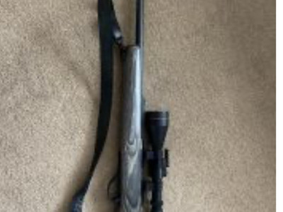 Remington Model 597 Semi-Auto .22 Rifle