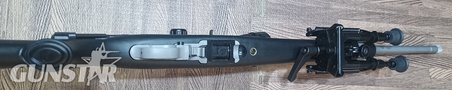 Ruger 10/22 Semi-Auto .22 Long Rifle (.22 LR) Rifle 