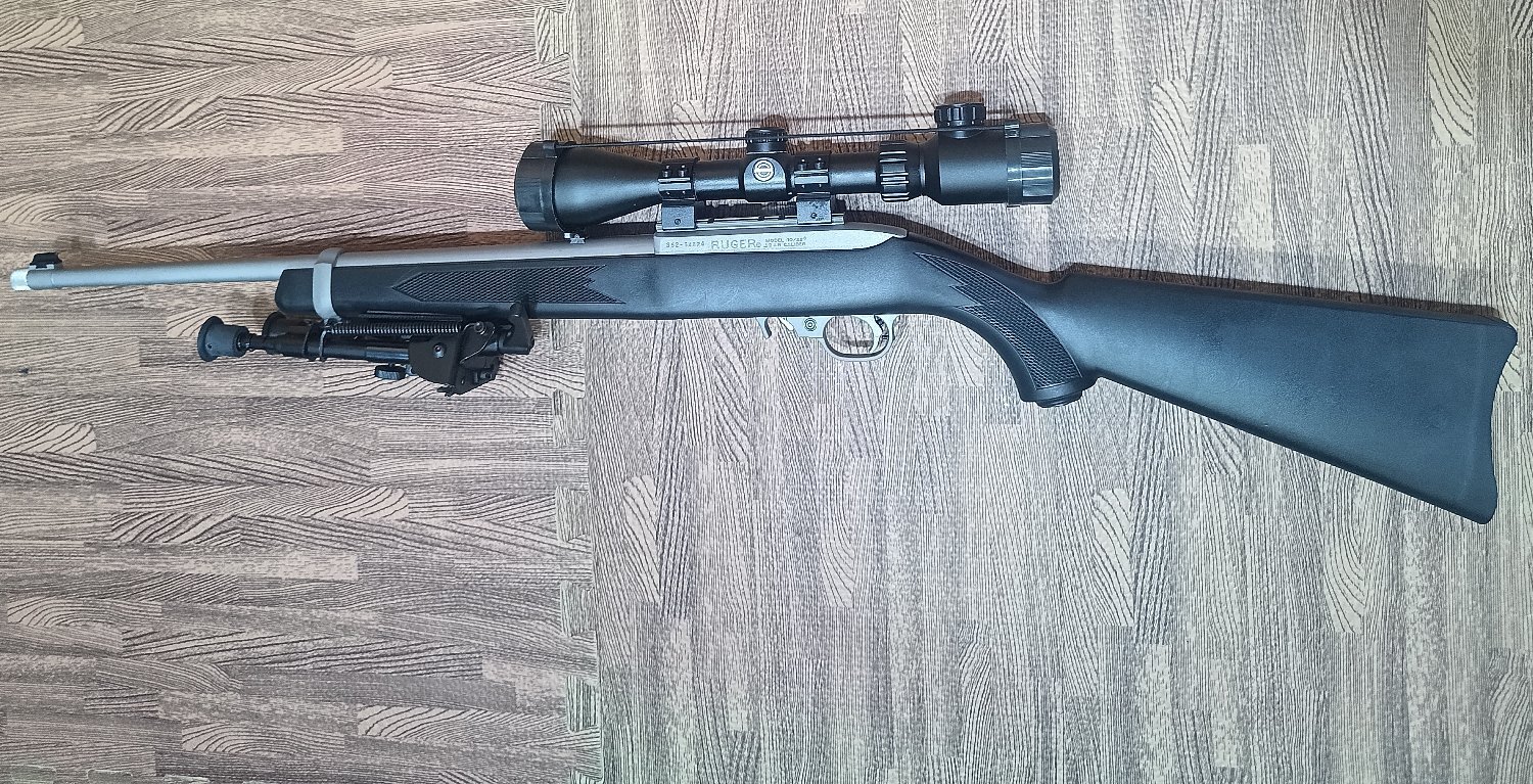 Ruger 10/22 Semi-Auto .22 Long Rifle (.22 LR) Rifle