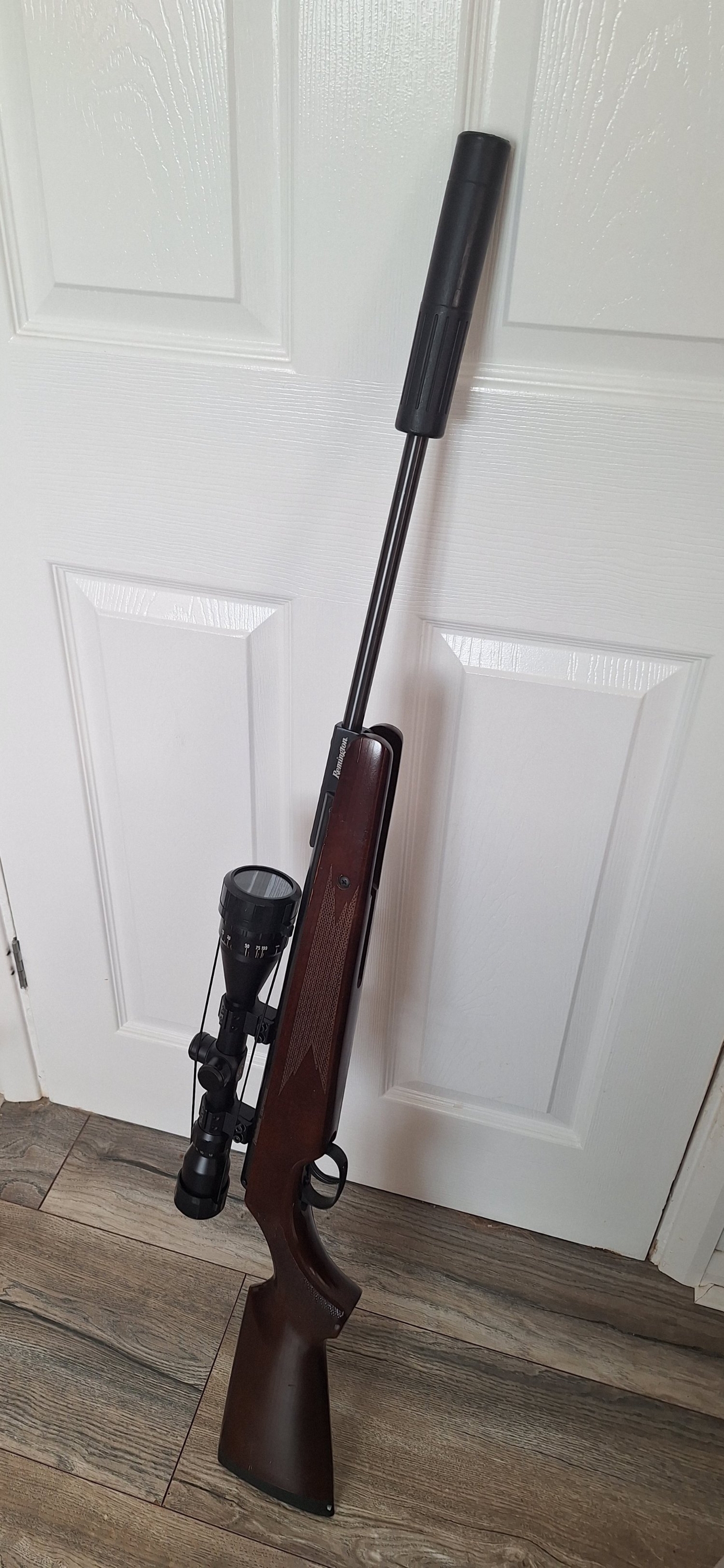 Remington Express .22