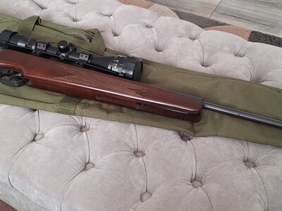 Remington Express .22