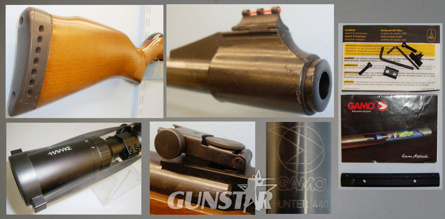 Gamo Hunter 440 .22