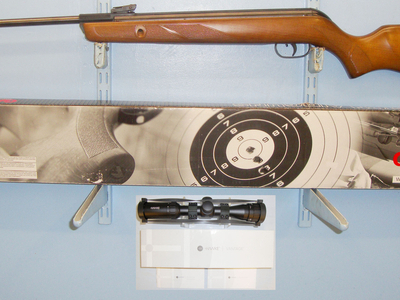Gamo Hunter 440 .22