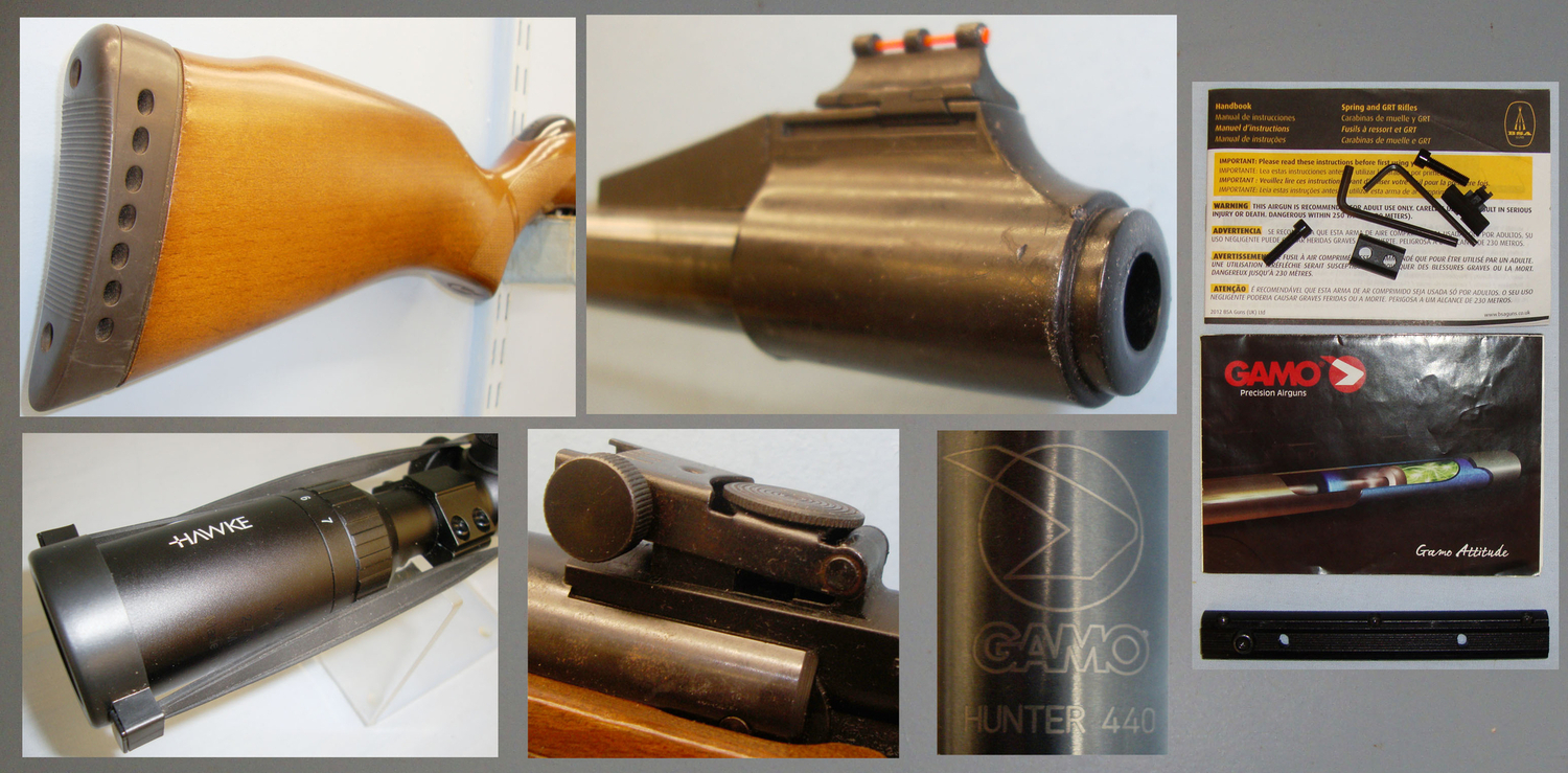 Gamo Hunter 440 .22