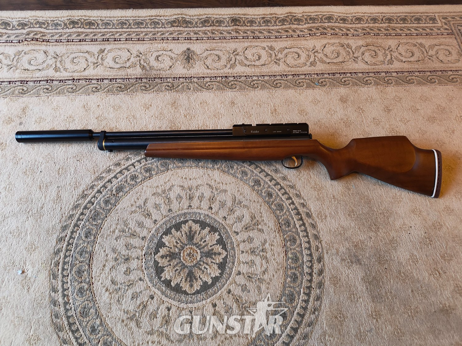 Webley & Scott Raider 10xs .177