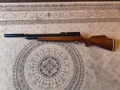 Webley & Scott Raider 10xs .177