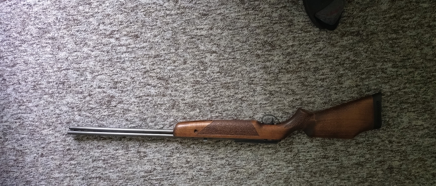 BSA Superstar  .22
