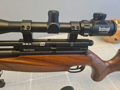 BSA Scorpion Se .22 .22