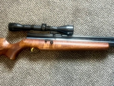 Webley & Scott Raider .22