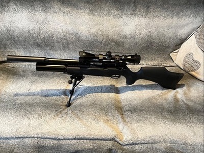 BSA R10 .22