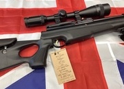 Hatsan Arms AT44-10 .22