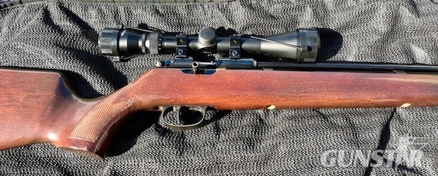 Titan Bearcat .22 in 