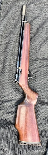  Titan Bearcat .22
