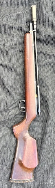 Titan Bearcat .22 - {CATEGORY} in 