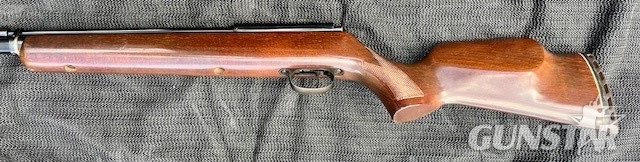 Titan Bearcat .22 
