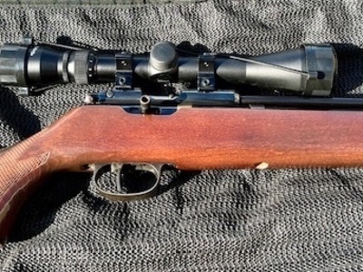 Titan Bearcat .22