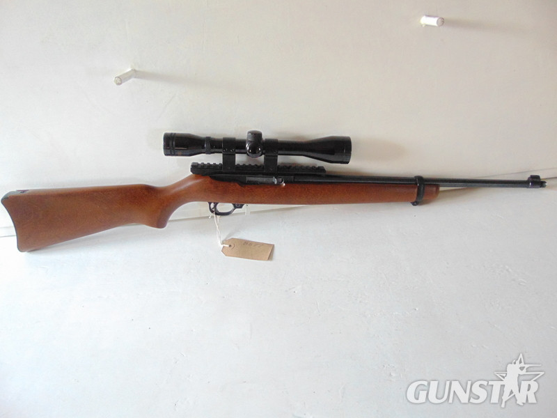 Ruger 10/22 Custom Semi-Auto .22 Rifle in 