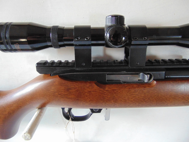 Ruger 10/22 Custom Semi-Auto .22 Rifle