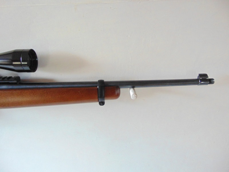 Ruger 10/22 Custom Semi-Auto .22 Rifle - {CATEGORY} in 
