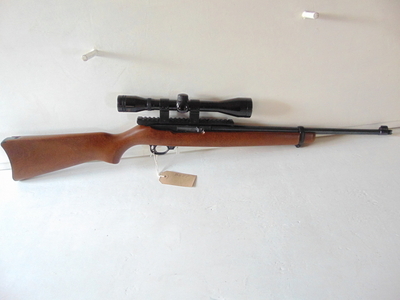 Ruger 10/22 Custom Semi-Auto .22 Rifle