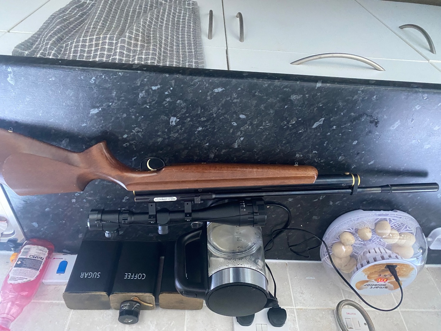 Webley & Scott Raider .22