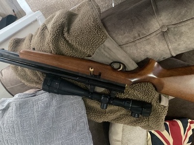 Webley & Scott Raider .22